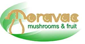 Moravac
